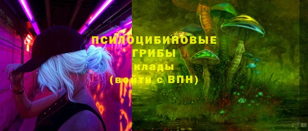 2c-b Медвежьегорск
