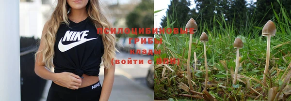 наркотики Михайловск
