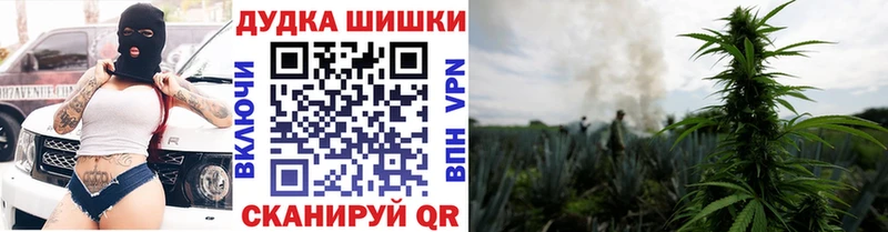 Бошки Шишки план  Иноземцево 